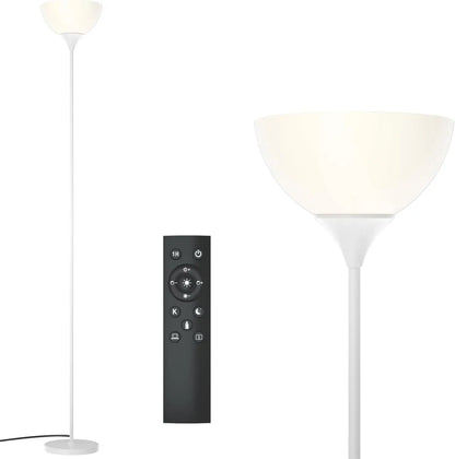 Floor Lamp, Colorless Mild Brightness Remote Control