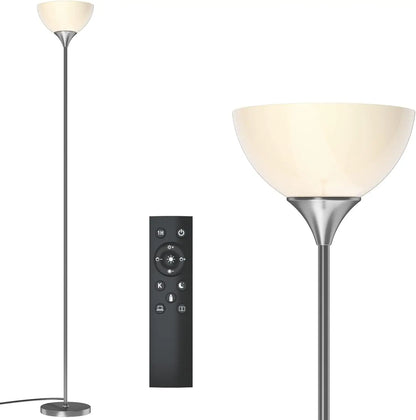 Floor Lamp, Colorless Mild Brightness Remote Control