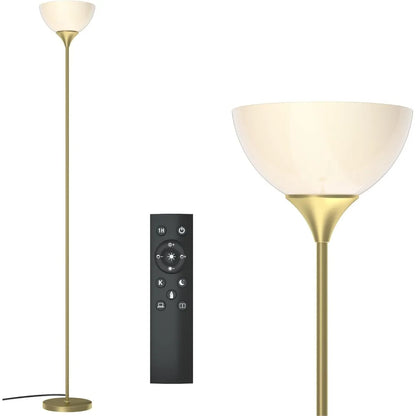 Floor Lamp, Colorless Mild Brightness Remote Control