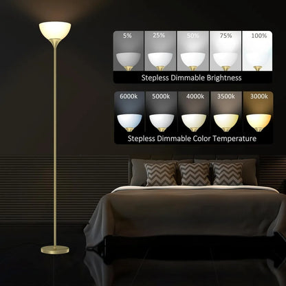 Floor Lamp, Colorless Mild Brightness Remote Control