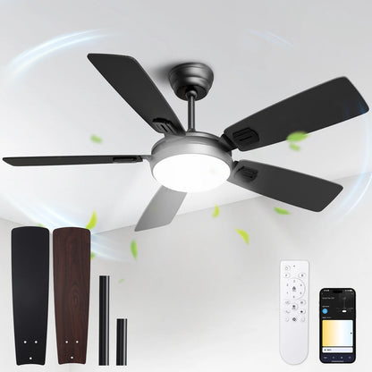 Modern Minimalist 5-Blade Ceiling Fan Light