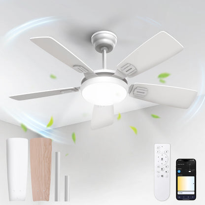 Modern Minimalist 5-Blade Ceiling Fan Light