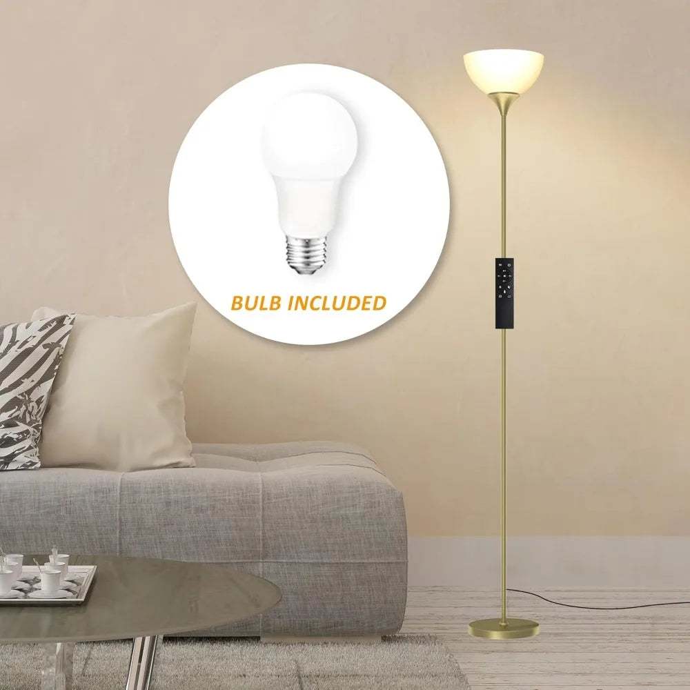 Floor Lamp, Colorless Mild Brightness Remote Control